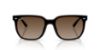 Picture of Ray Ban Sunglasses RB4466D