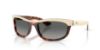 Picture of Ray Ban Sunglasses RB2489