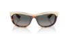 Picture of Ray Ban Sunglasses RB2489