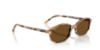 Picture of Ray Ban Sunglasses RB2232F
