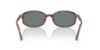 Picture of Ray Ban Sunglasses RB2232F