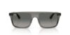 Picture of Ray Ban Sunglasses RB2222