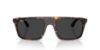 Picture of Ray Ban Sunglasses RB2222