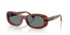 Picture of Ray Ban Sunglasses RB2221F