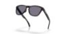 Picture of Oakley Sunglasses FROGSKINS RANGE XL A