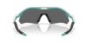 Picture of Oakley Sunglasses RADAR PLATE