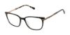 Picture of Ted Baker Eyeglasses TFW023