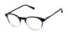 Picture of Ted Baker Eyeglasses TKB004