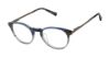Picture of Ted Baker Eyeglasses TKB004