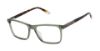Picture of O'neil Eyeglasses ONB-4040-T