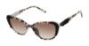 Picture of O'neil Sunglasses VGS032