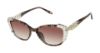 Picture of O'neil Sunglasses VGS032