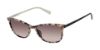 Picture of Ted Baker Eyeglasses TWS302