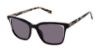 Picture of Ted Baker Sunglasses TWS298