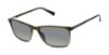 Picture of Ted Baker Eyeglasses TMS205