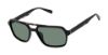 Picture of Ted Baker Sunglasses TMS201
