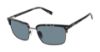 Picture of Ted Baker Sunglasses TMS202