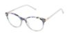 Picture of Buffalo David Bitton Eyeglasses BW043