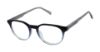 Picture of Buffalo David Bitton Eyeglasses BM032