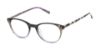 Picture of Ted Baker Eyeglasses TFW022