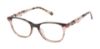 Picture of Superdry Eyeglasses SDOW027T
