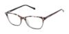 Picture of Superdry Eyeglasses SDOW026T