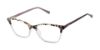 Picture of Superdry Eyeglasses SDOW026T