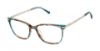 Picture of Superdry Eyeglasses SDOW025T
