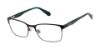 Picture of Superdry Eyeglasses SDOM513T