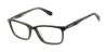 Picture of Superdry Eyeglasses SDOM020T