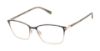 Picture of Ted Baker Eyeglasses TW527