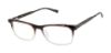 Picture of Ted Baker Eyeglasses TM017