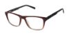 Picture of Ted Baker Eyeglasses TFM018