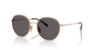 Picture of Vogue Sunglasses VJ1002