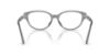 Picture of Swarovski Eyeglasses SK2058D