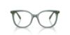 Picture of Swarovski Eyeglasses SK2055
