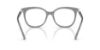 Picture of Swarovski Eyeglasses SK2055