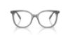 Picture of Swarovski Eyeglasses SK2055