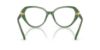Picture of Swarovski Eyeglasses SK2054