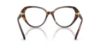 Picture of Swarovski Eyeglasses SK2054F