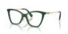 Picture of Swarovski Eyeglasses SK2051F