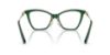 Picture of Swarovski Eyeglasses SK2051F