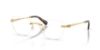Picture of Swarovski Eyeglasses SK1035D