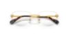 Picture of Swarovski Eyeglasses SK1035D
