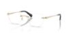 Picture of Swarovski Eyeglasses SK1035D