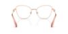 Picture of Swarovski Eyeglasses SK1034
