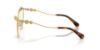 Picture of Swarovski Eyeglasses SK1033