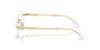 Picture of Swarovski Eyeglasses SK1031