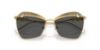 Picture of Swarovski Sunglasses SK7040
