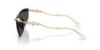 Picture of Swarovski Sunglasses SK7039